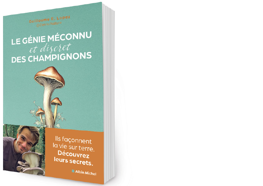 ALBIN MICHEL. Le génie méconnu (et discret) des champignons